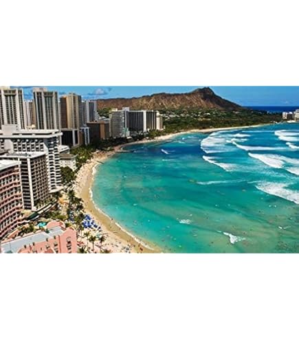 Amazon | Ceaco - トーマス・キンケード - ディズニー - ハワイの